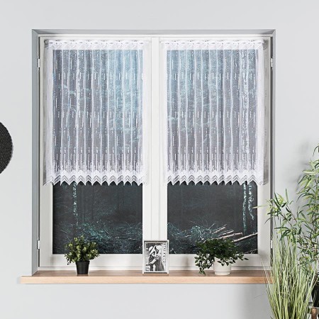 zazdrostka zakardowa