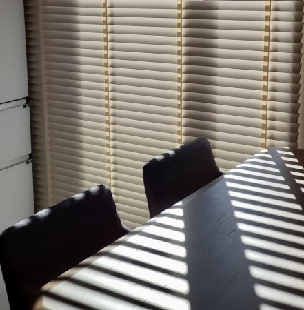 Żaluzja elektryczna