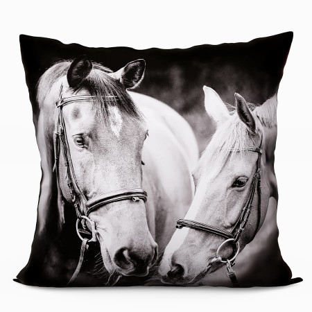 2e89b0b1c2365068d6a6d66d12fa1716