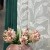 image00028.jpeg