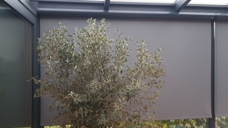 RM 40 Roleta wolnowisząca w kasecie rozm. 169x180 cm